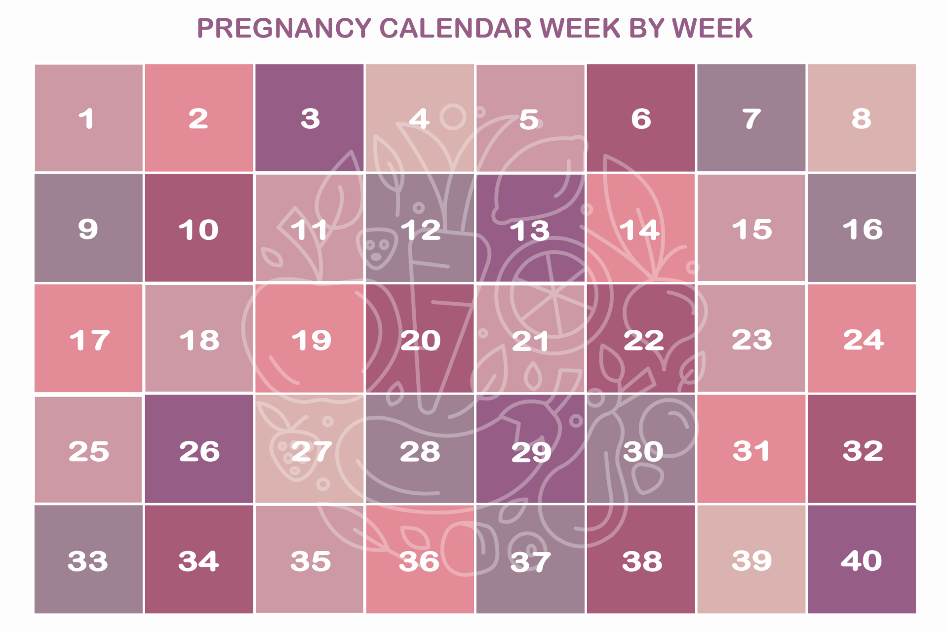 BabyBelly week by week pregnancy calendar with nutrition tips 