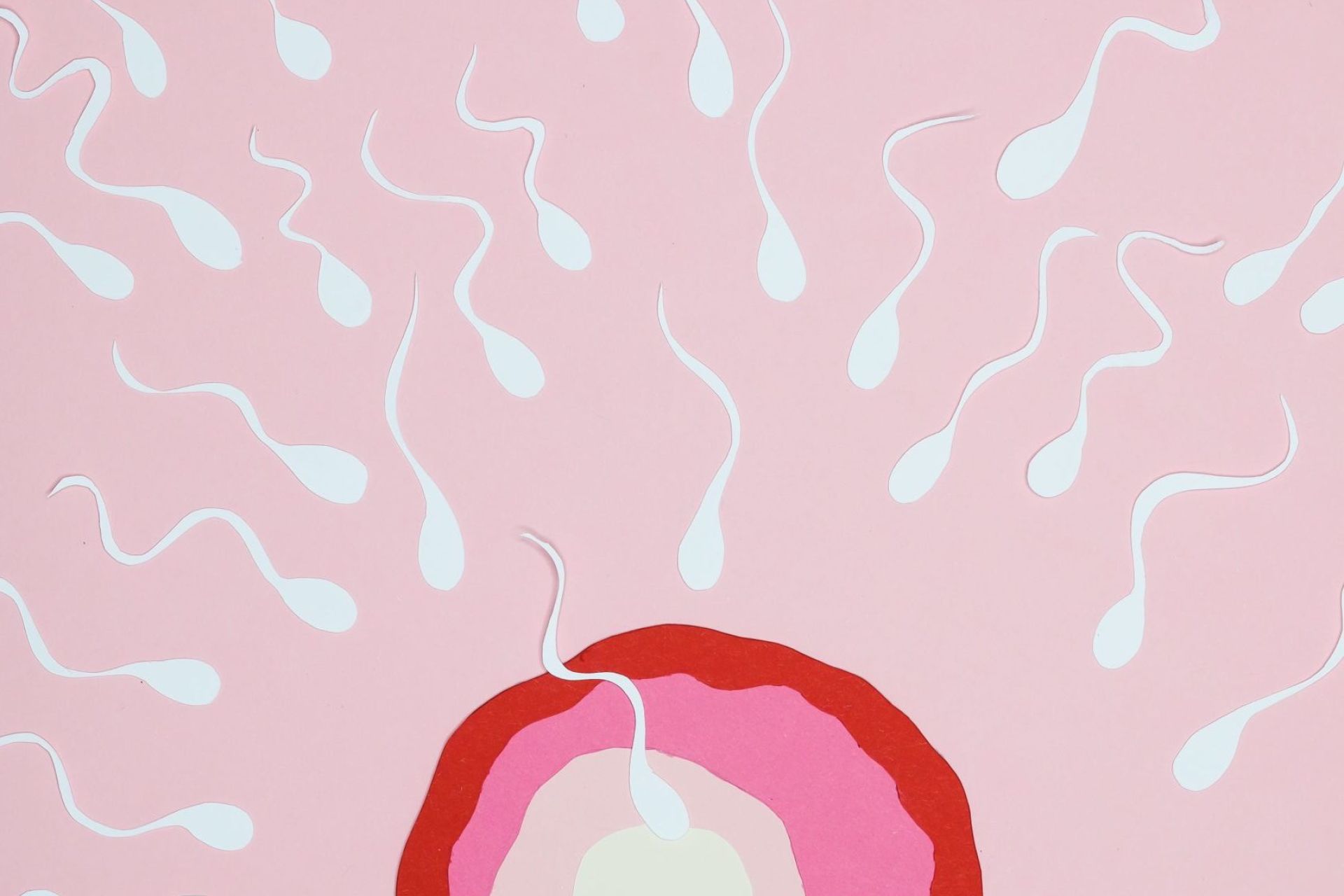 Find out how to delay menopause following a healthy diet and lifestyle