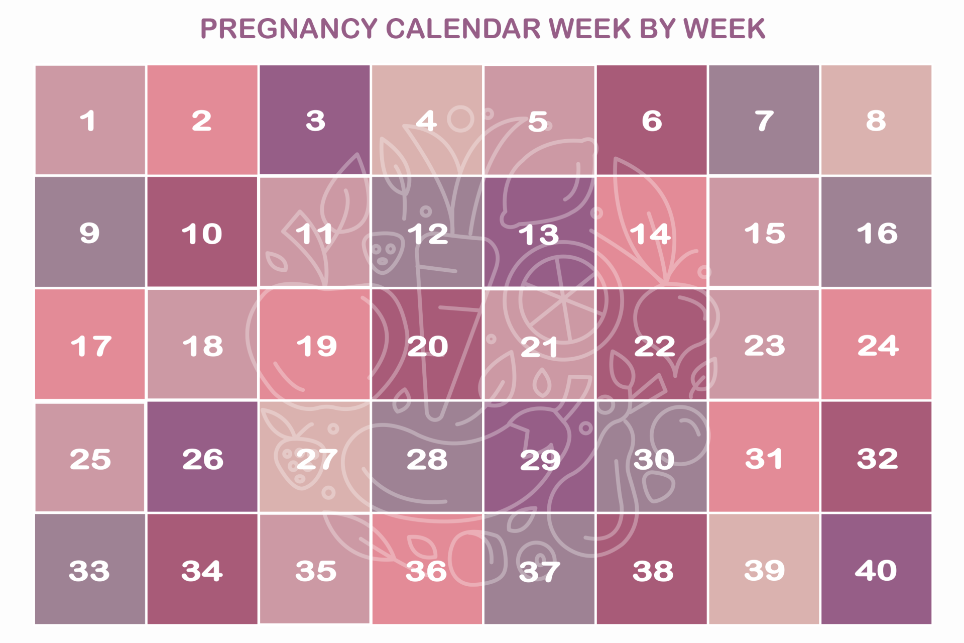 BabyBelly week by week pregnancy calendar with nutrition tips